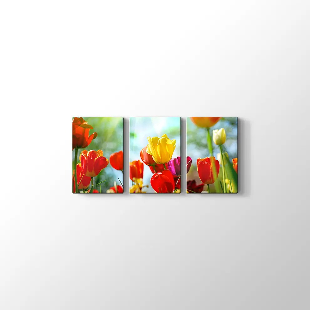 Gün Işığında Lale Bahçesi Kanvas Tablo