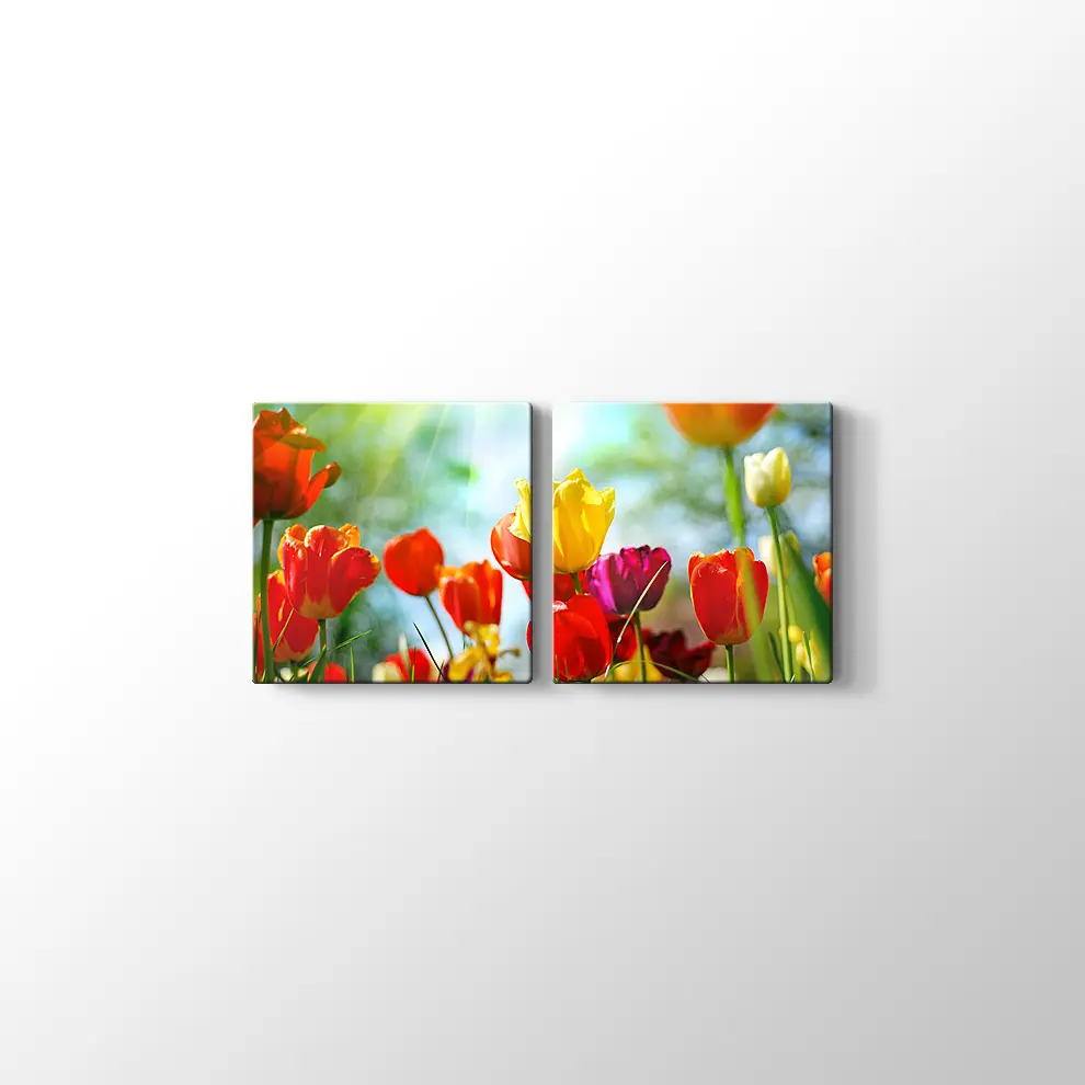 Gün Işığında Lale Bahçesi Kanvas Tablo