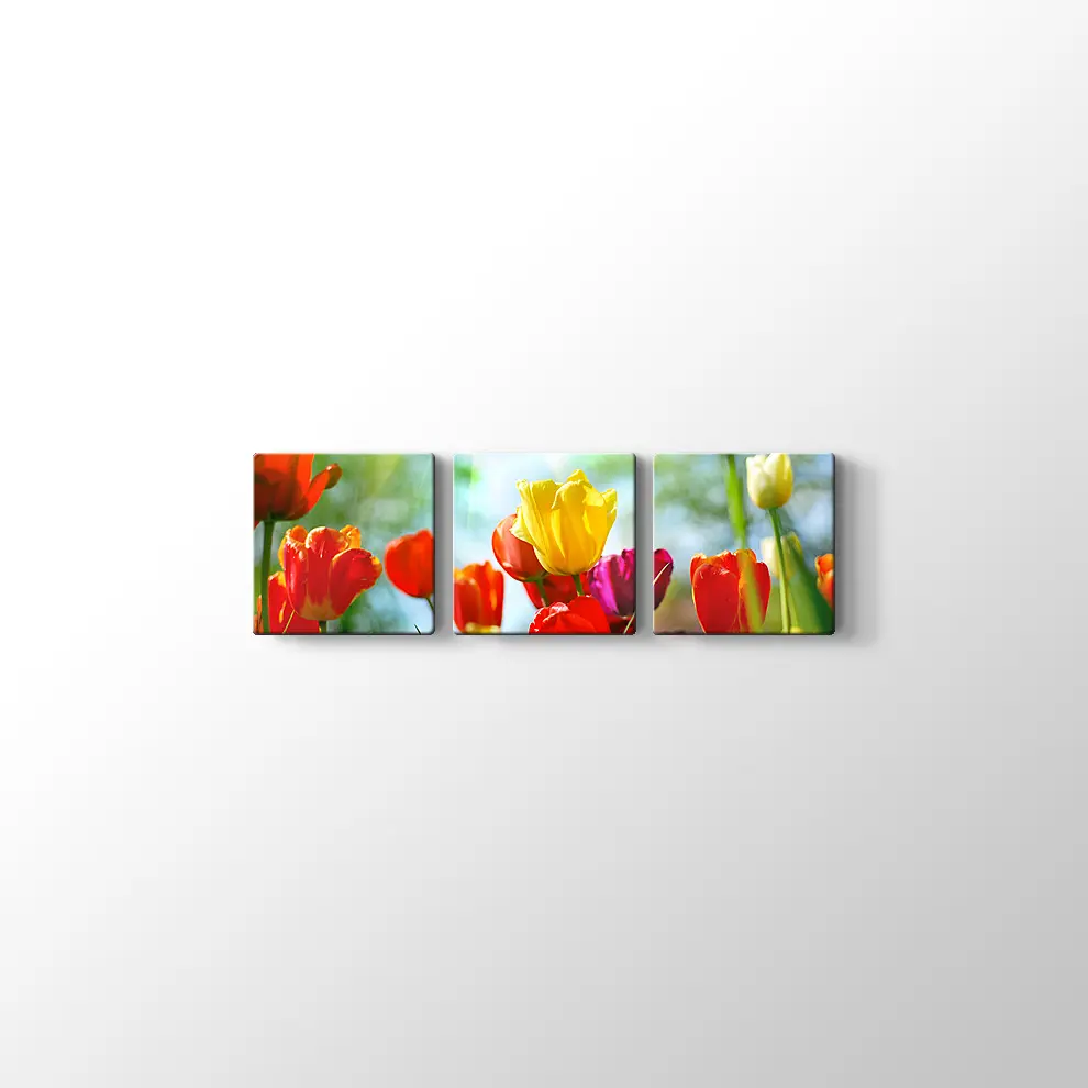 Gün Işığında Lale Bahçesi Kanvas Tablo