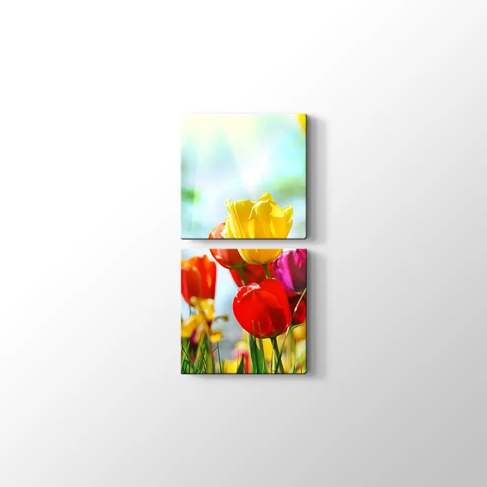 Gün Işığında Lale Bahçesi Kanvas Tablo