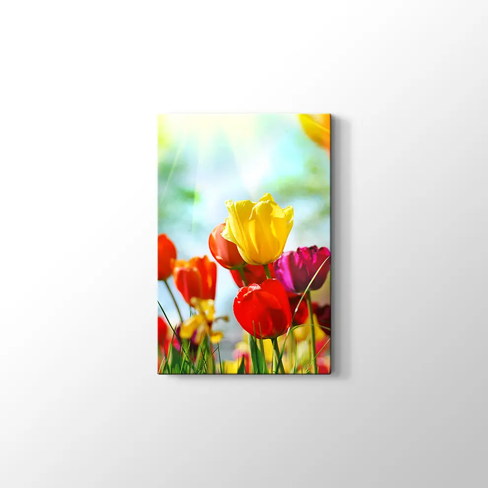 Gün Işığında Lale Bahçesi Kanvas Tablo