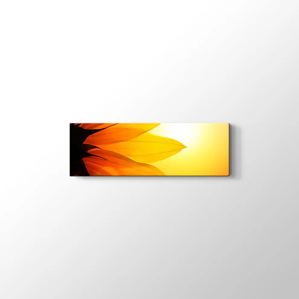 Gün Işığında Papatya Yaprağı Kanvas Tablo