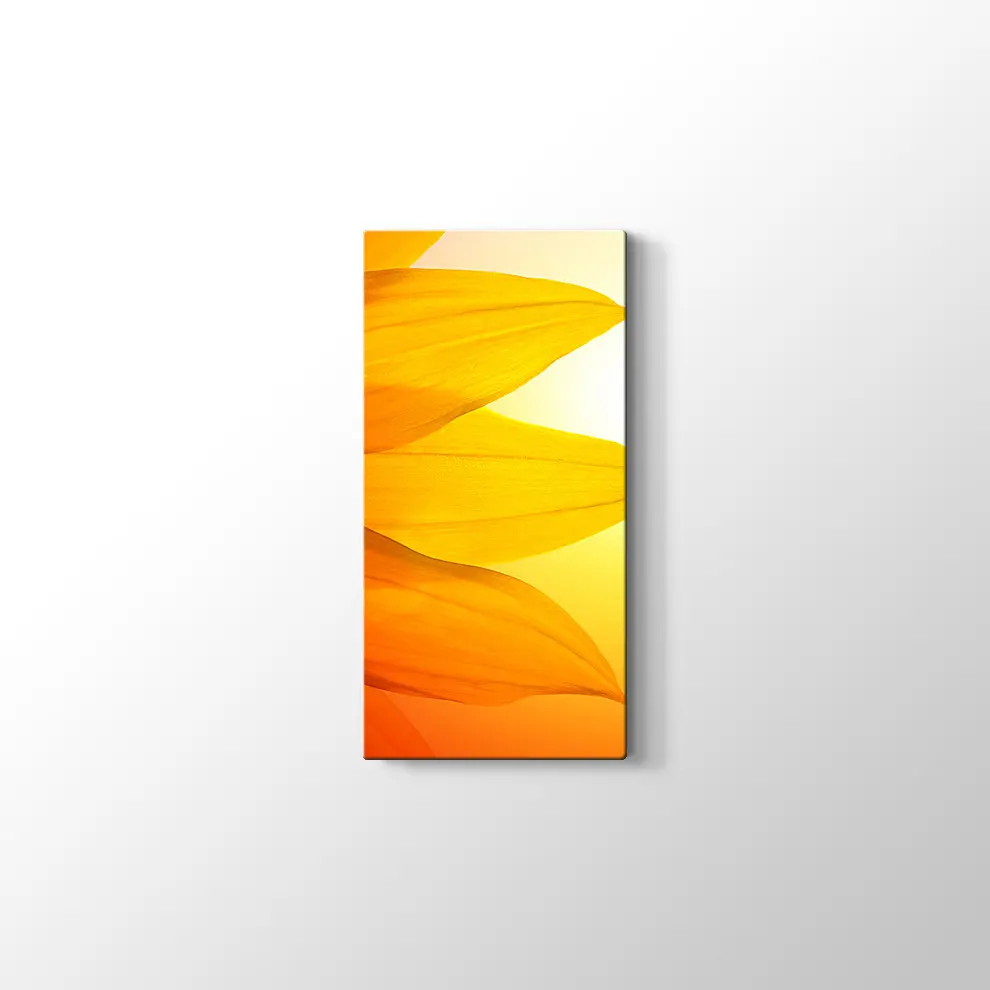 Gün Işığında Papatya Yaprağı Kanvas Tablo