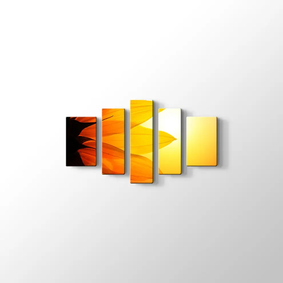 Gün Işığında Papatya Yaprağı Kanvas Tablo