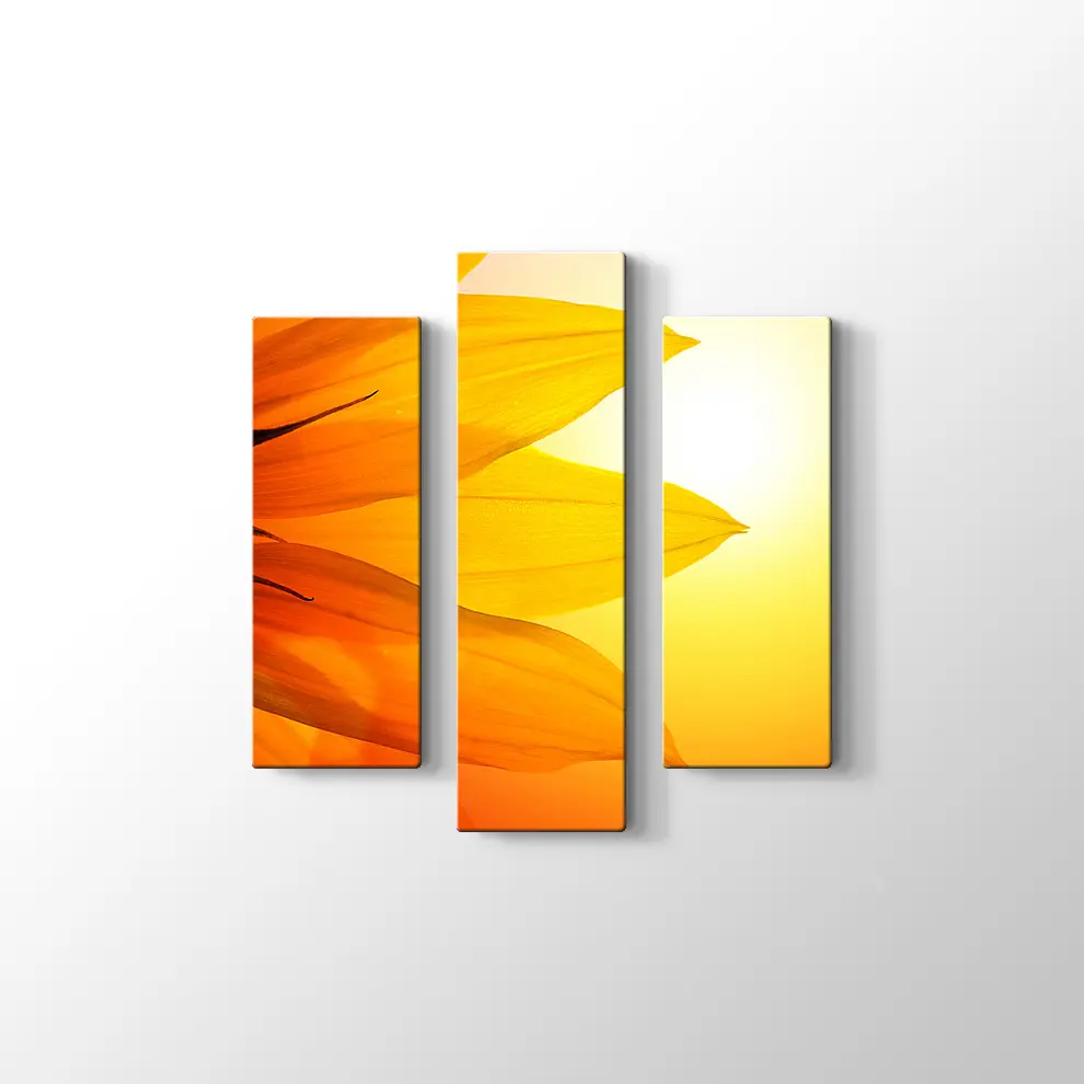 Gün Işığında Papatya Yaprağı Kanvas Tablo