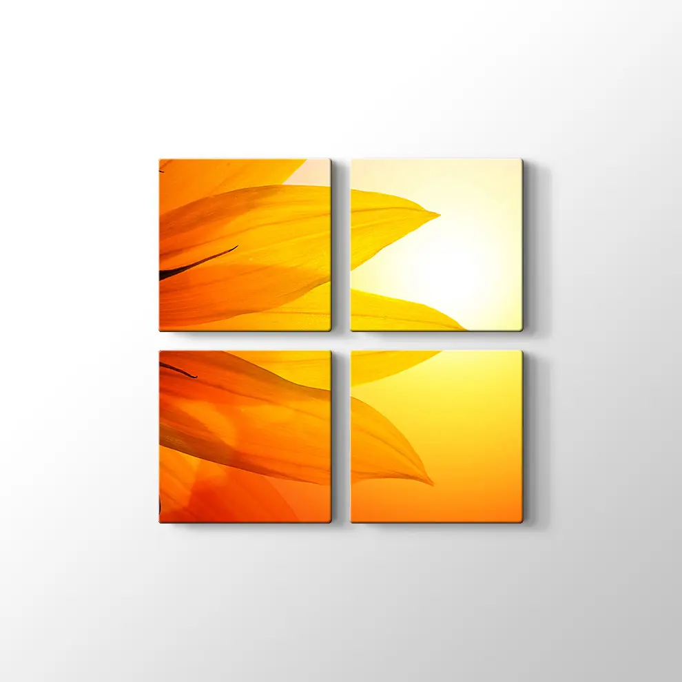 Gün Işığında Papatya Yaprağı Kanvas Tablo