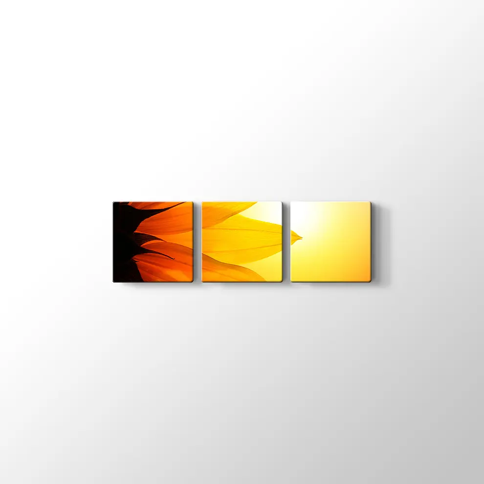 Gün Işığında Papatya Yaprağı Kanvas Tablo