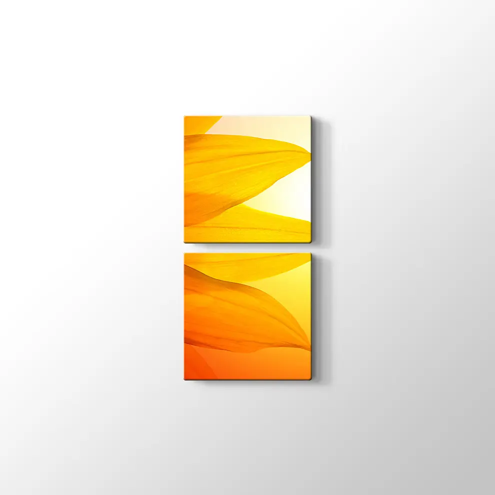 Gün Işığında Papatya Yaprağı Kanvas Tablo