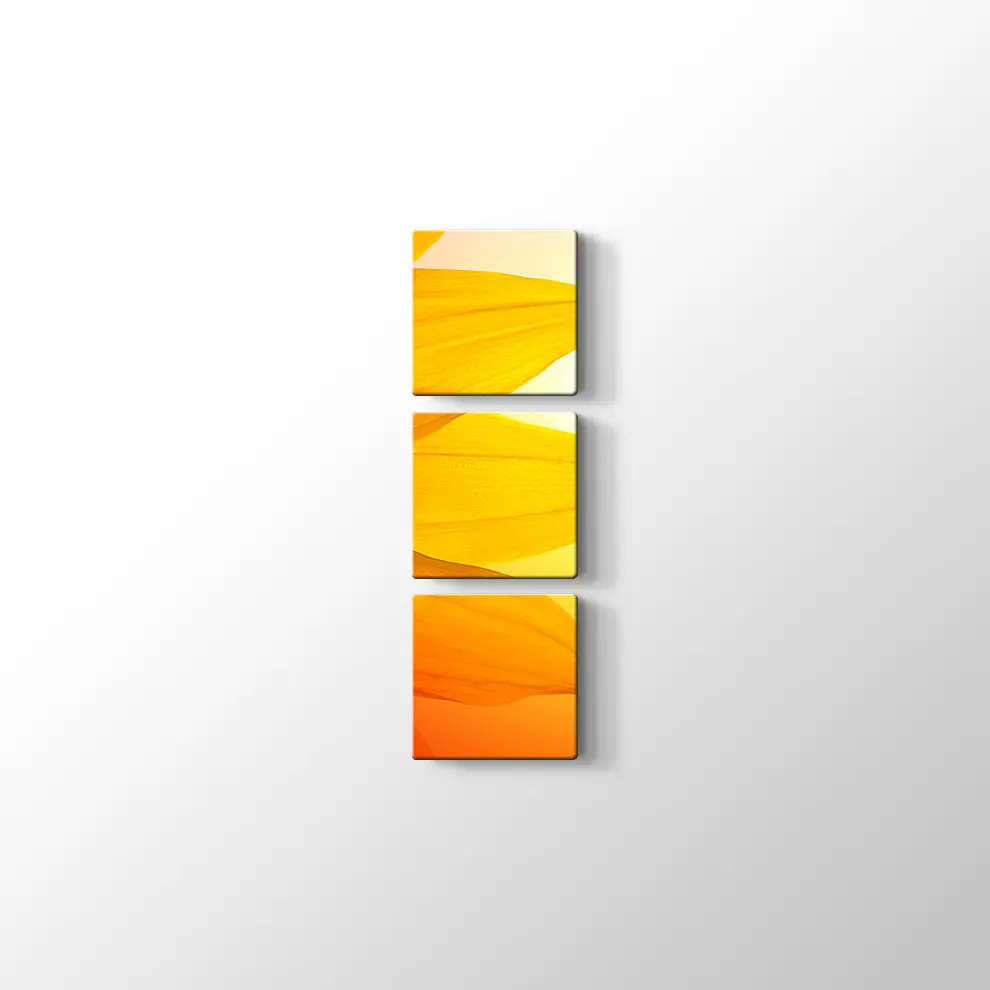 Gün Işığında Papatya Yaprağı Kanvas Tablo