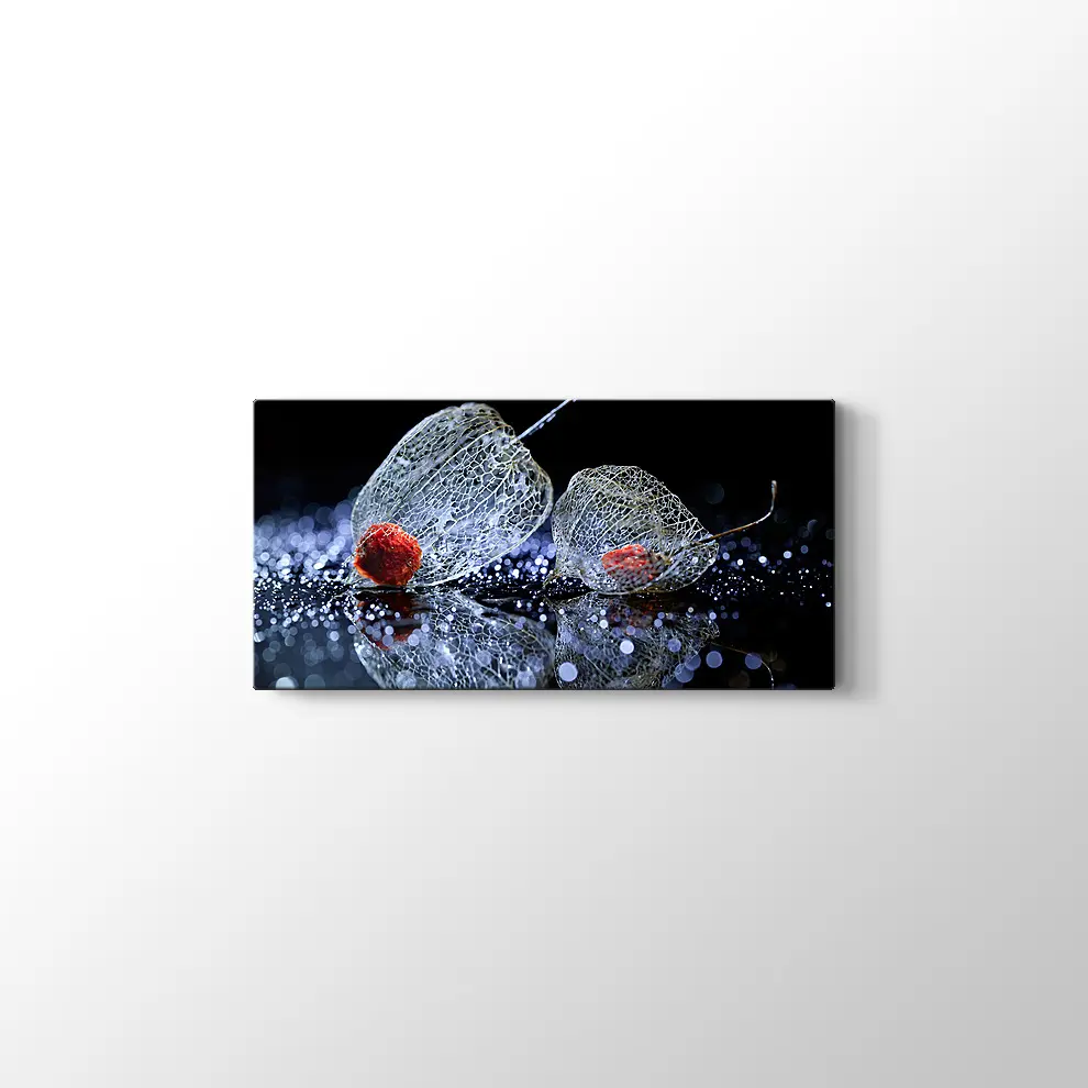 Çiçek Kafesi Kanvas Tablo