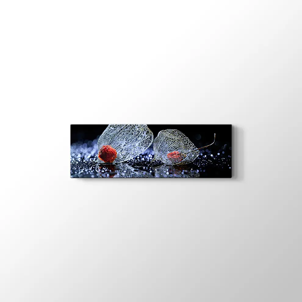 Çiçek Kafesi Kanvas Tablo