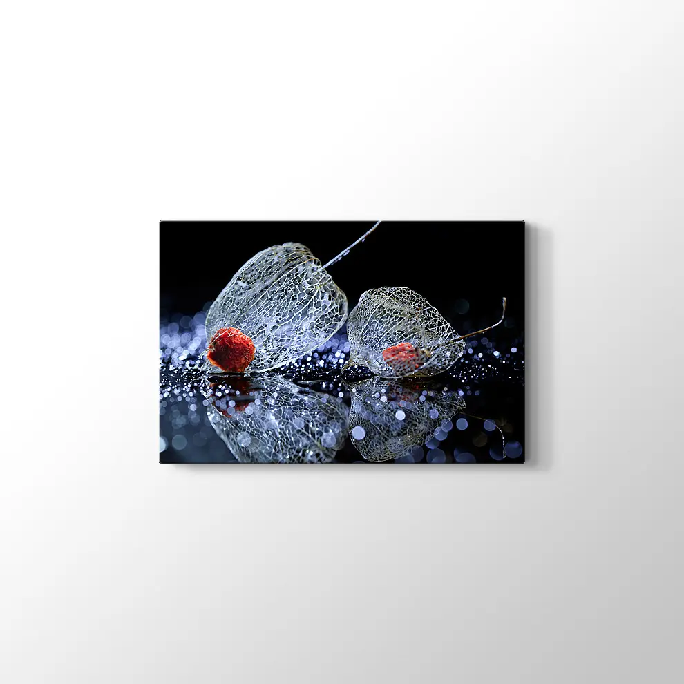 Çiçek Kafesi Kanvas Tablo