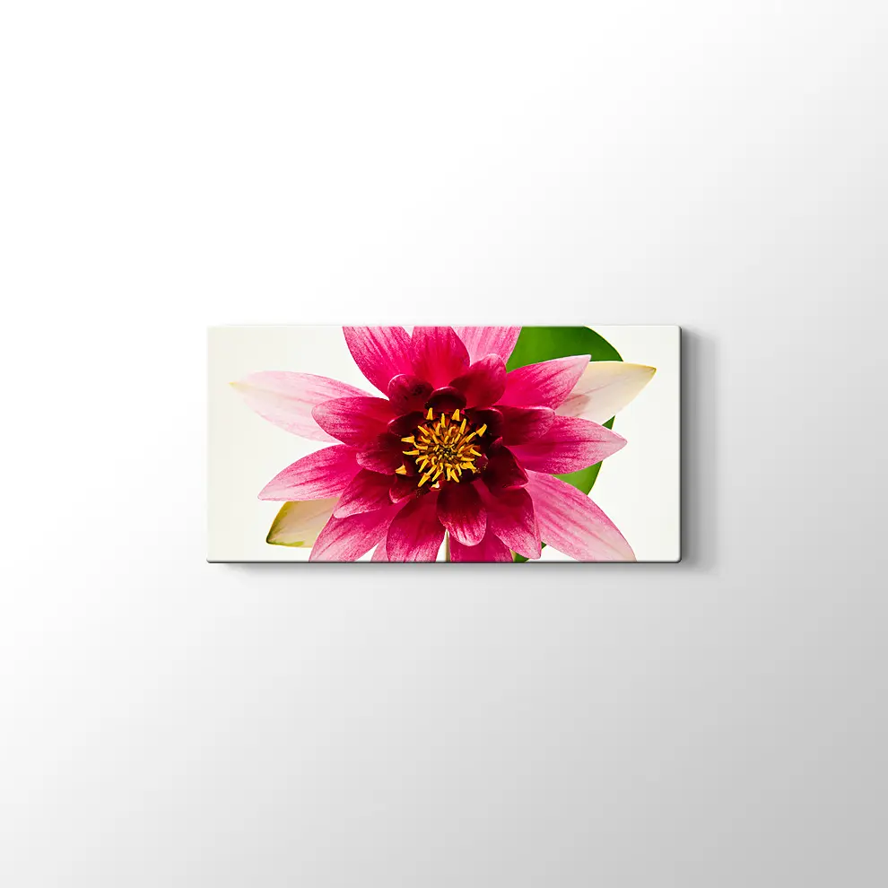 Yıldız Çiçeği Kanvas Tablo