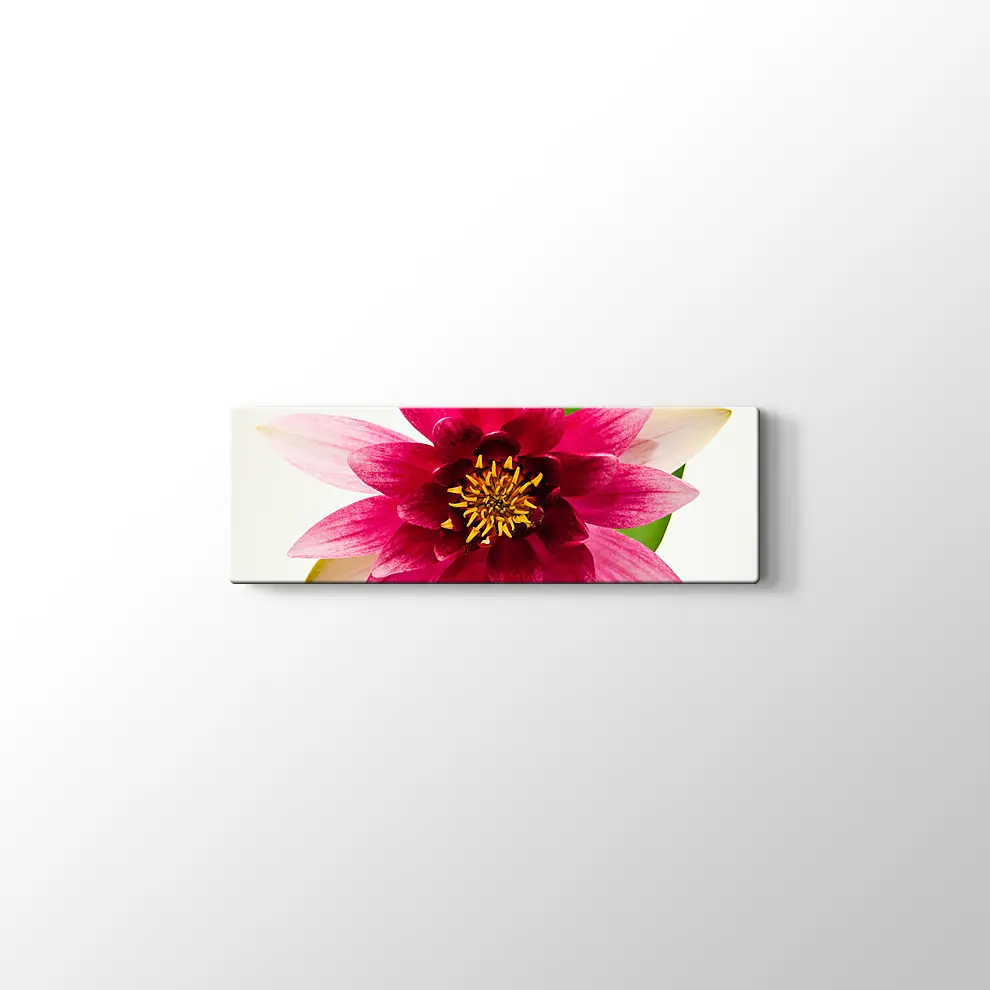 Yıldız Çiçeği Kanvas Tablo