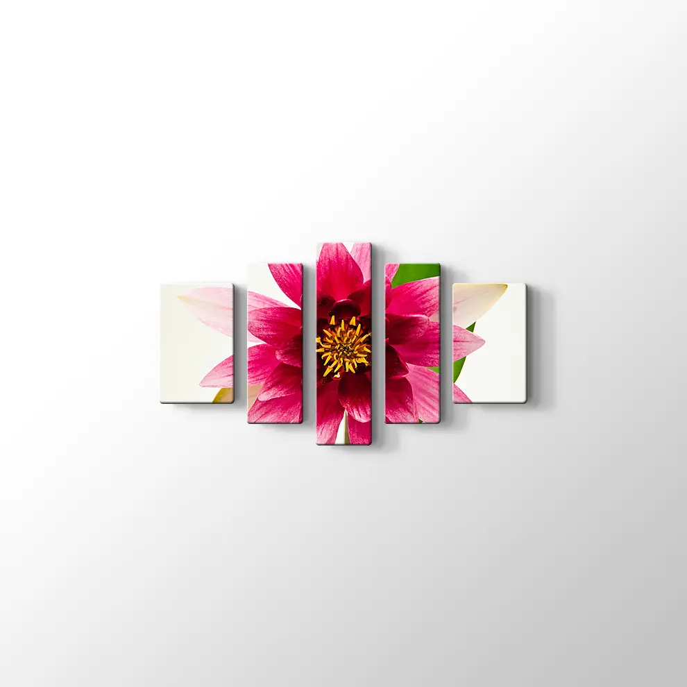 Yıldız Çiçeği Kanvas Tablo