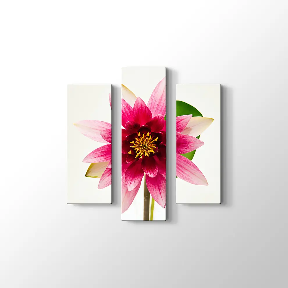 Yıldız Çiçeği Kanvas Tablo