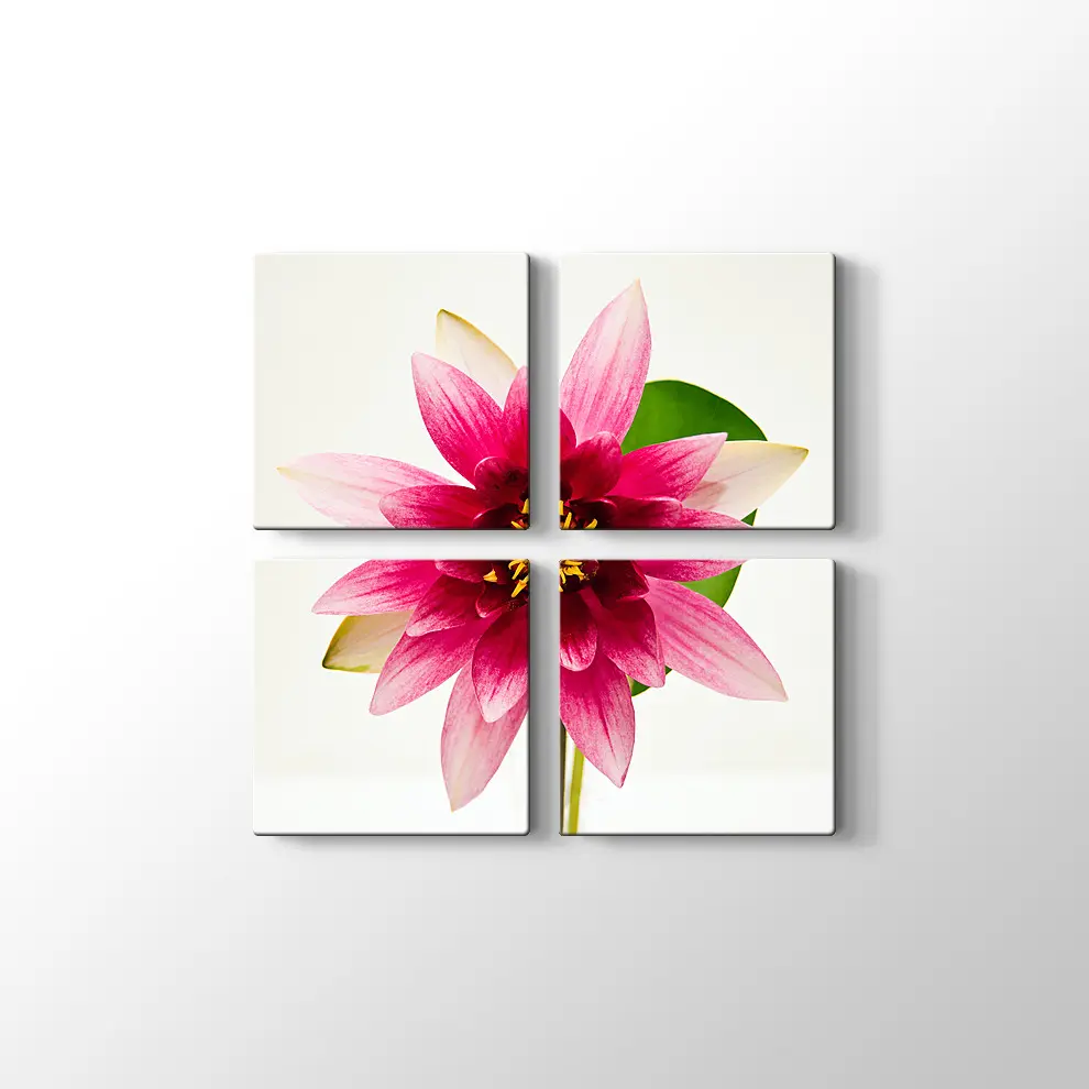 Yıldız Çiçeği Kanvas Tablo