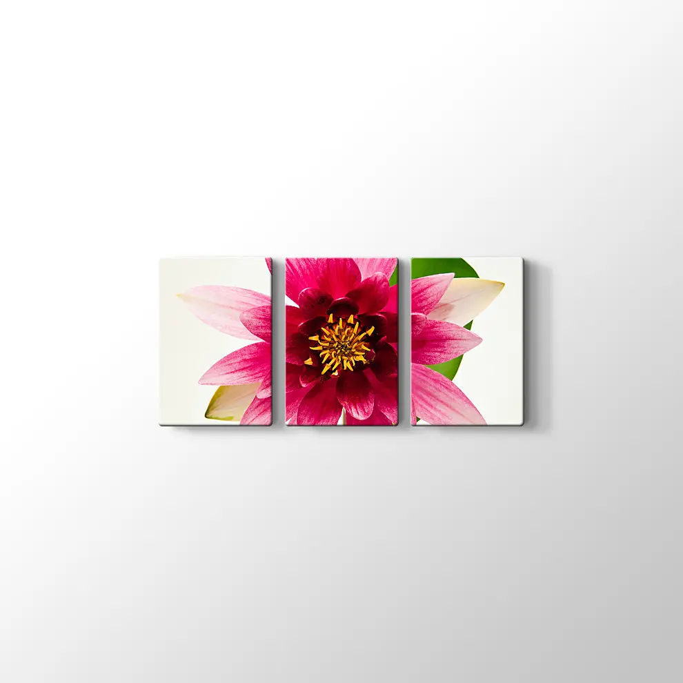 Yıldız Çiçeği Kanvas Tablo