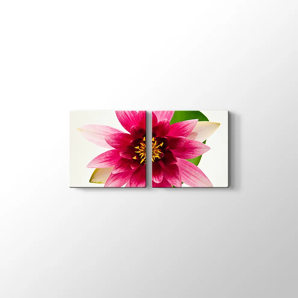 Yıldız Çiçeği Kanvas Tablo