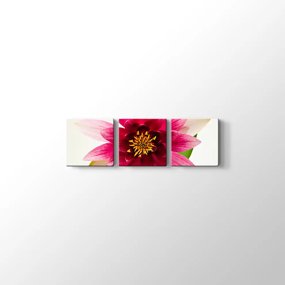 Yıldız Çiçeği Kanvas Tablo