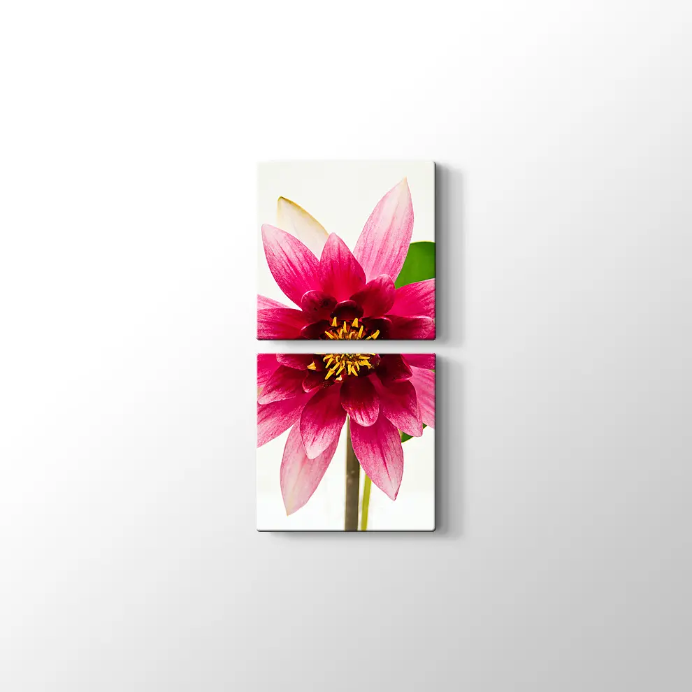 Yıldız Çiçeği Kanvas Tablo