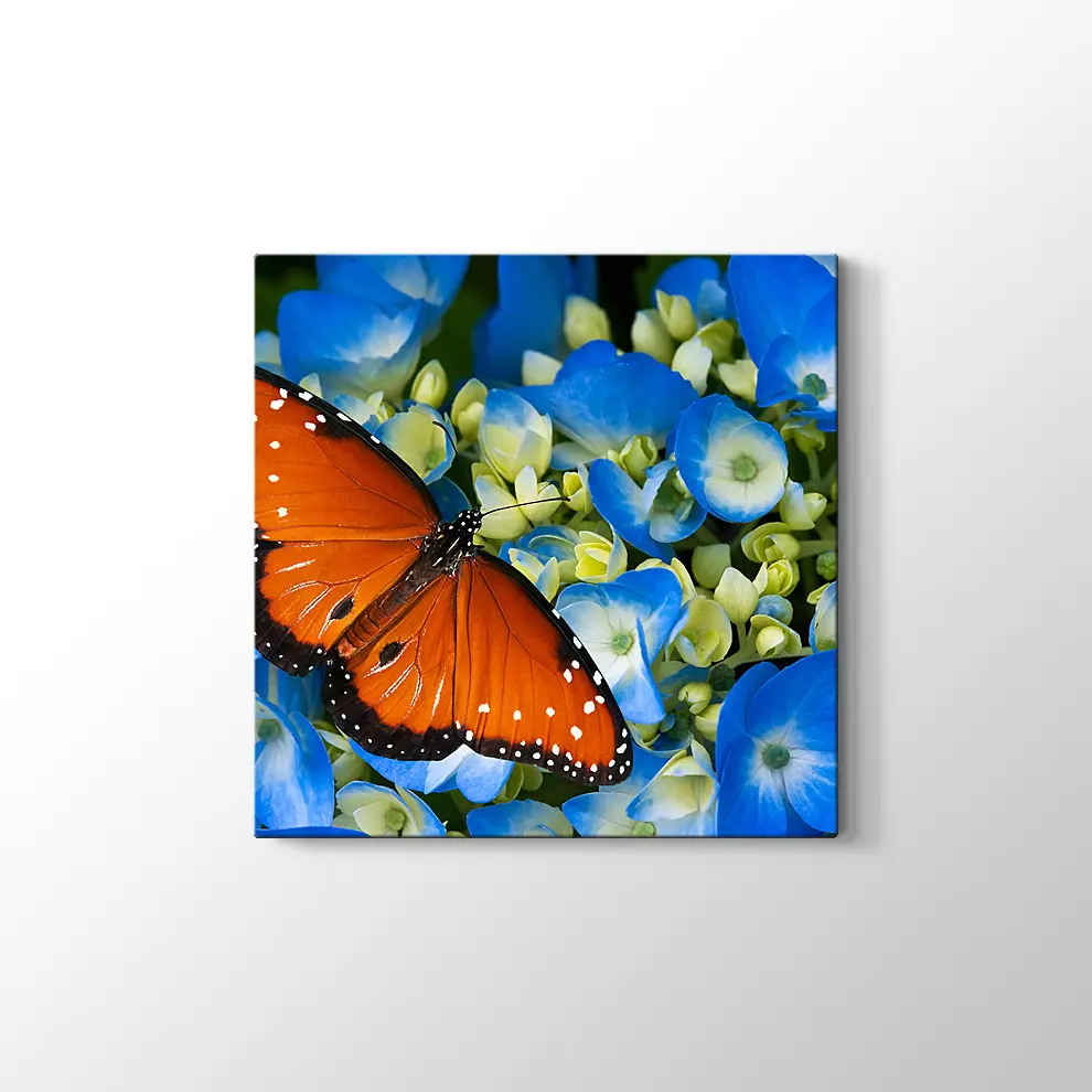 Mavi Çiçekte Kelebek Kanvas Tablo