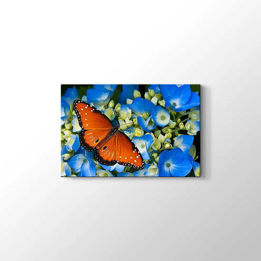 Mavi Çiçekte Kelebek Kanvas Tablo