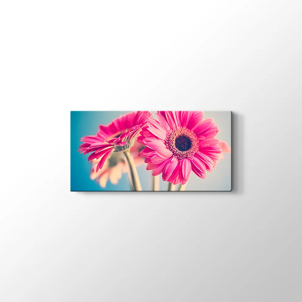 Pembe Papatya Kanvas Tablo