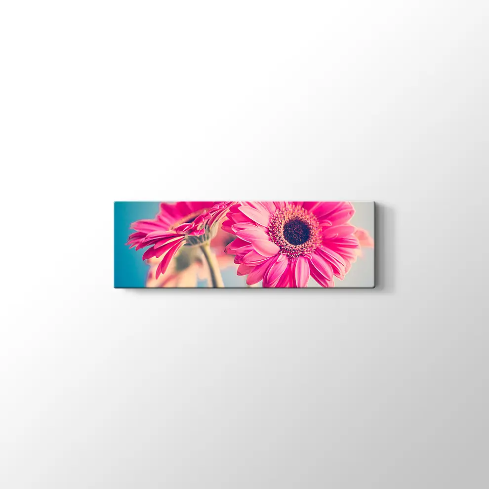 Pembe Papatya Kanvas Tablo