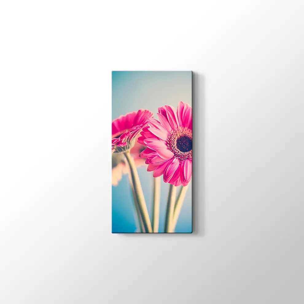 Pembe Papatya Kanvas Tablo