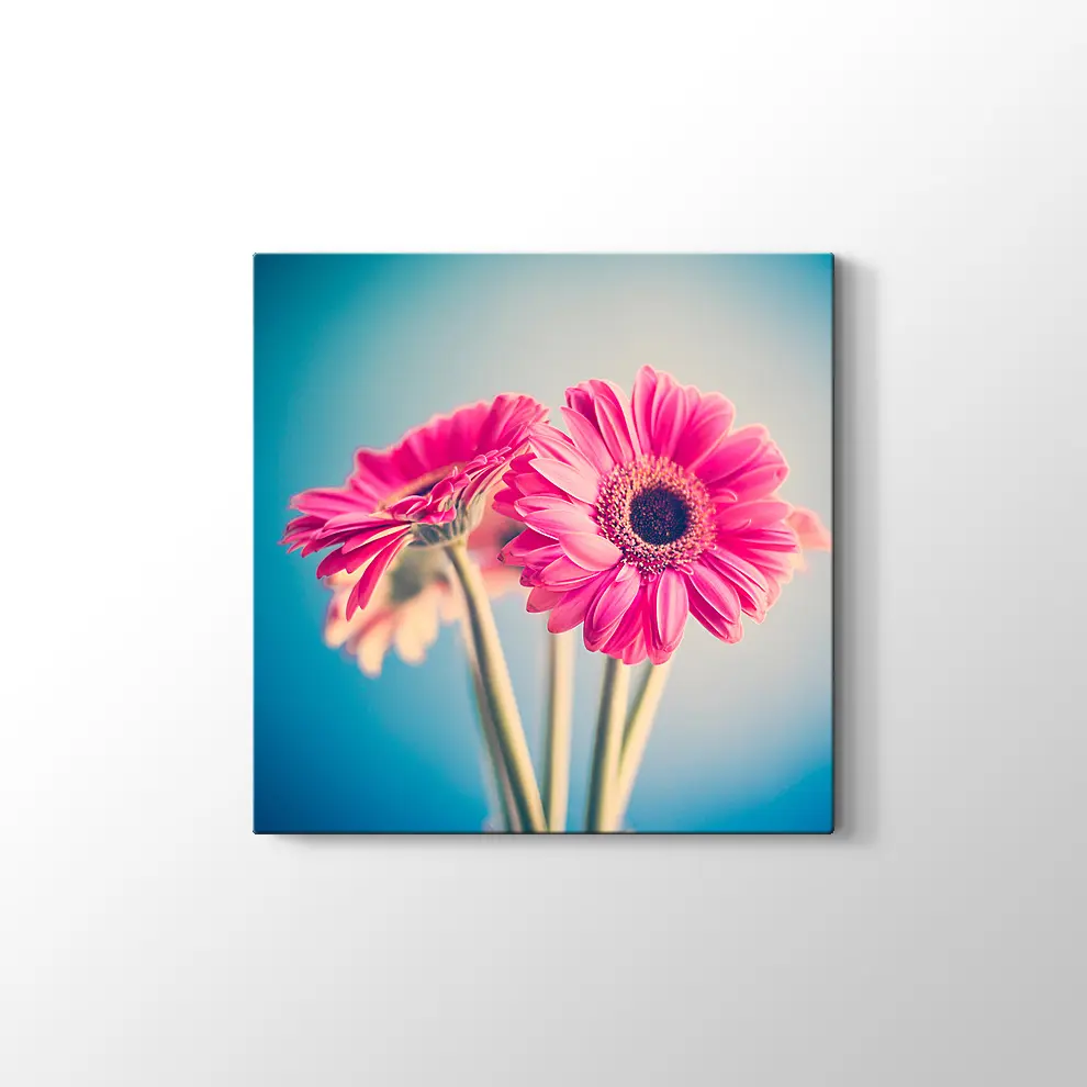 Pembe Papatya Kanvas Tablo