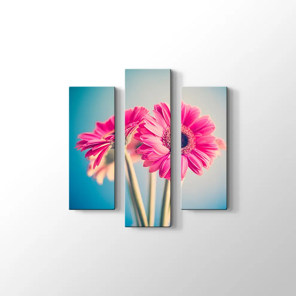 Pembe Papatya Kanvas Tablo