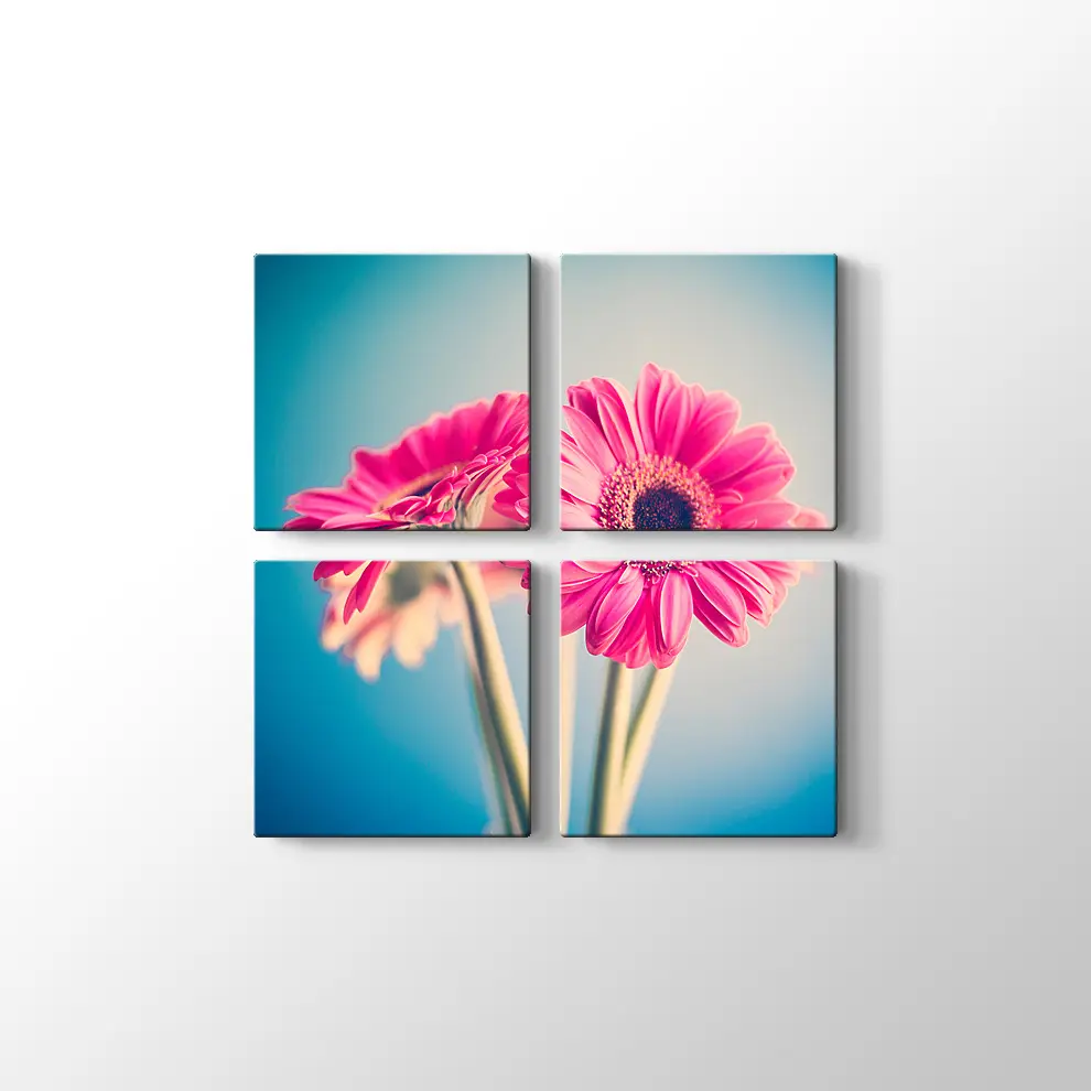 Pembe Papatya Kanvas Tablo