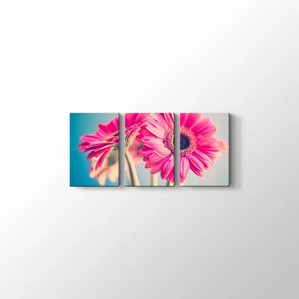 Pembe Papatya Kanvas Tablo