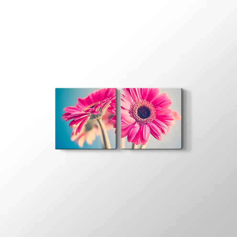 Pembe Papatya Kanvas Tablo