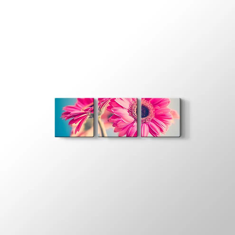 Pembe Papatya Kanvas Tablo