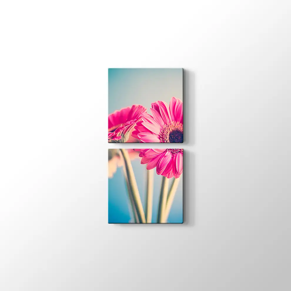 Pembe Papatya Kanvas Tablo