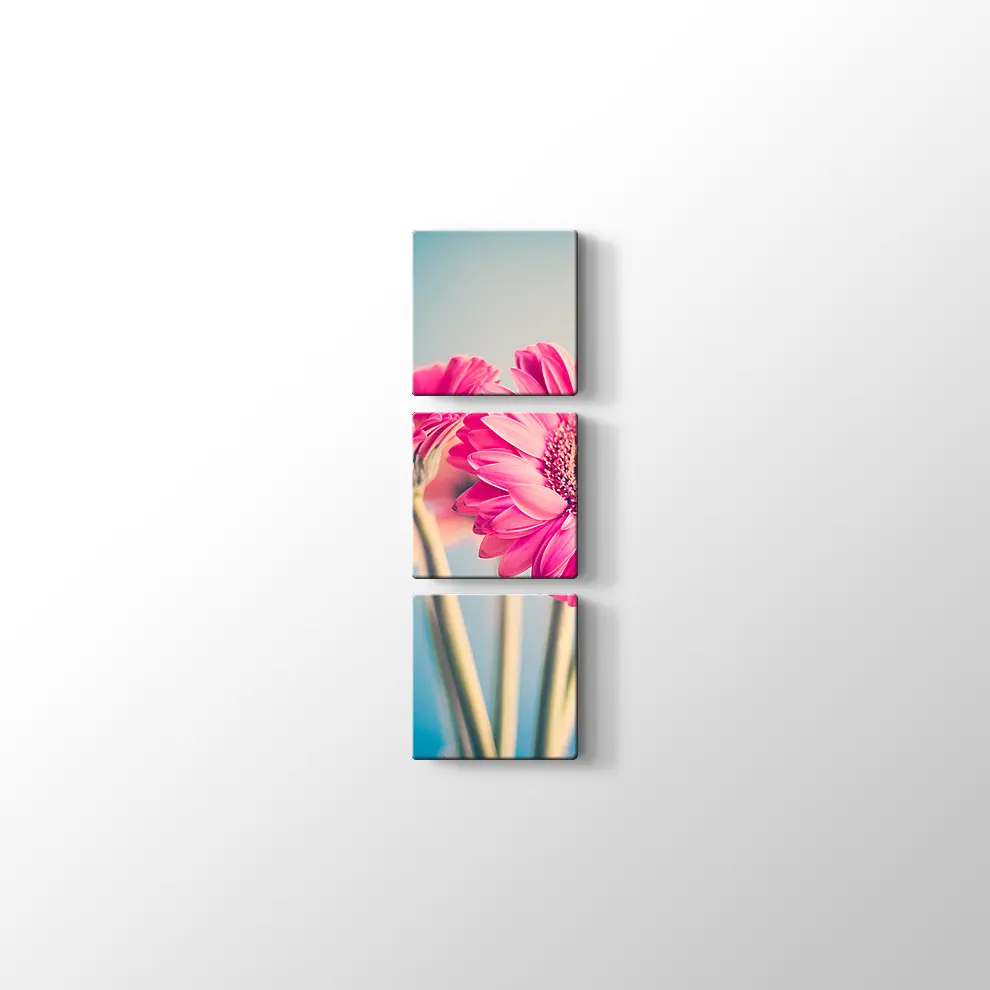 Pembe Papatya Kanvas Tablo