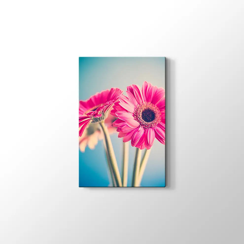 Pembe Papatya Kanvas Tablo