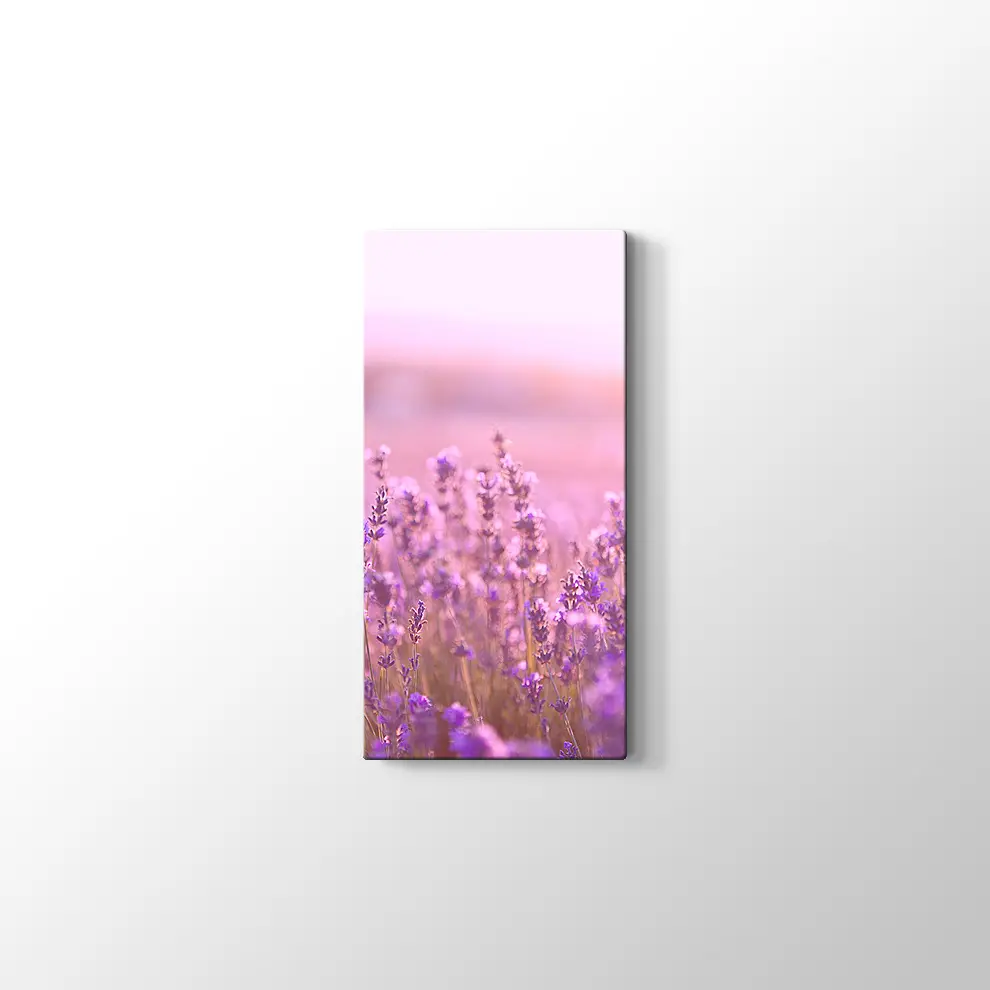 Lavantalar Kanvas Tablo