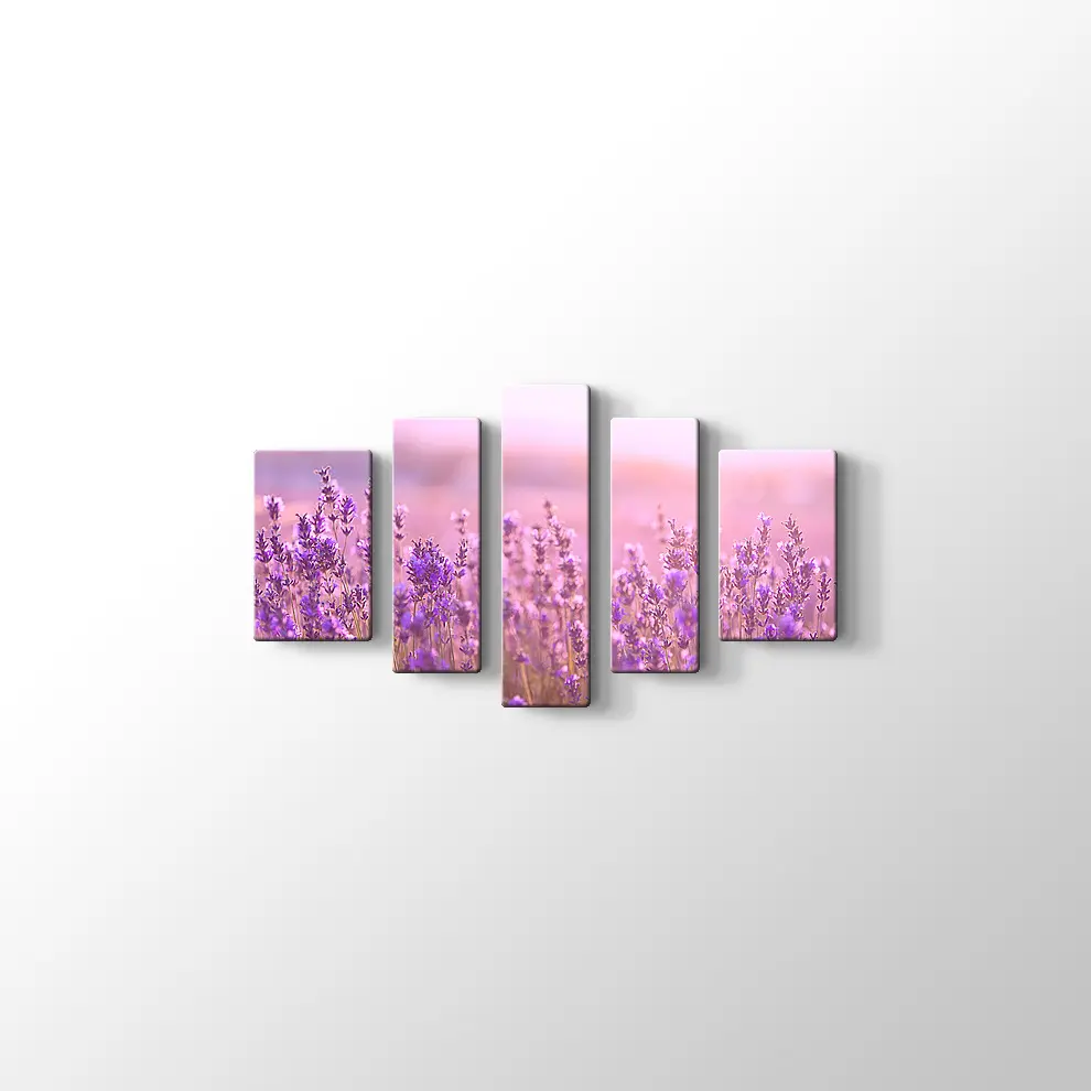 Lavantalar Kanvas Tablo