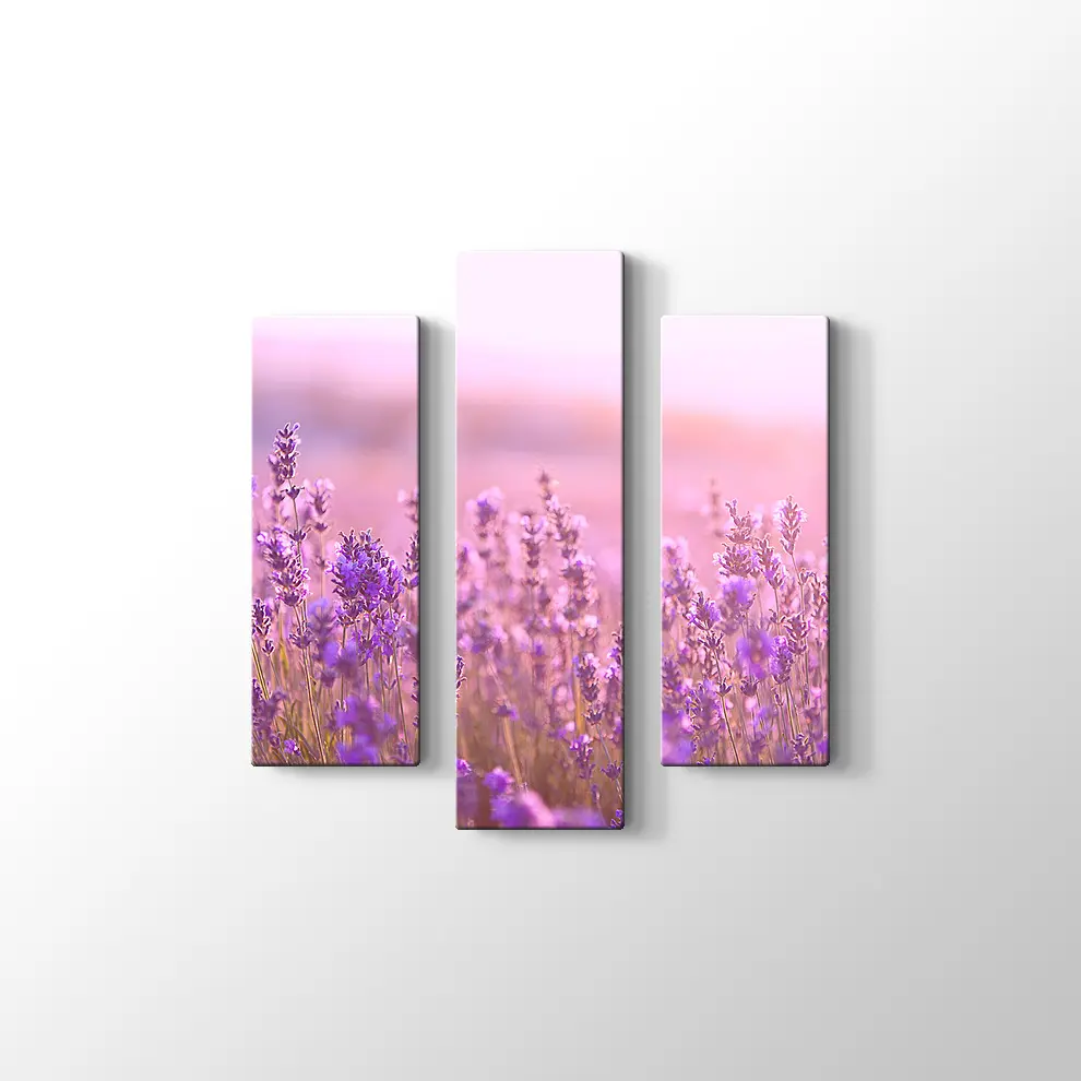 Lavantalar Kanvas Tablo