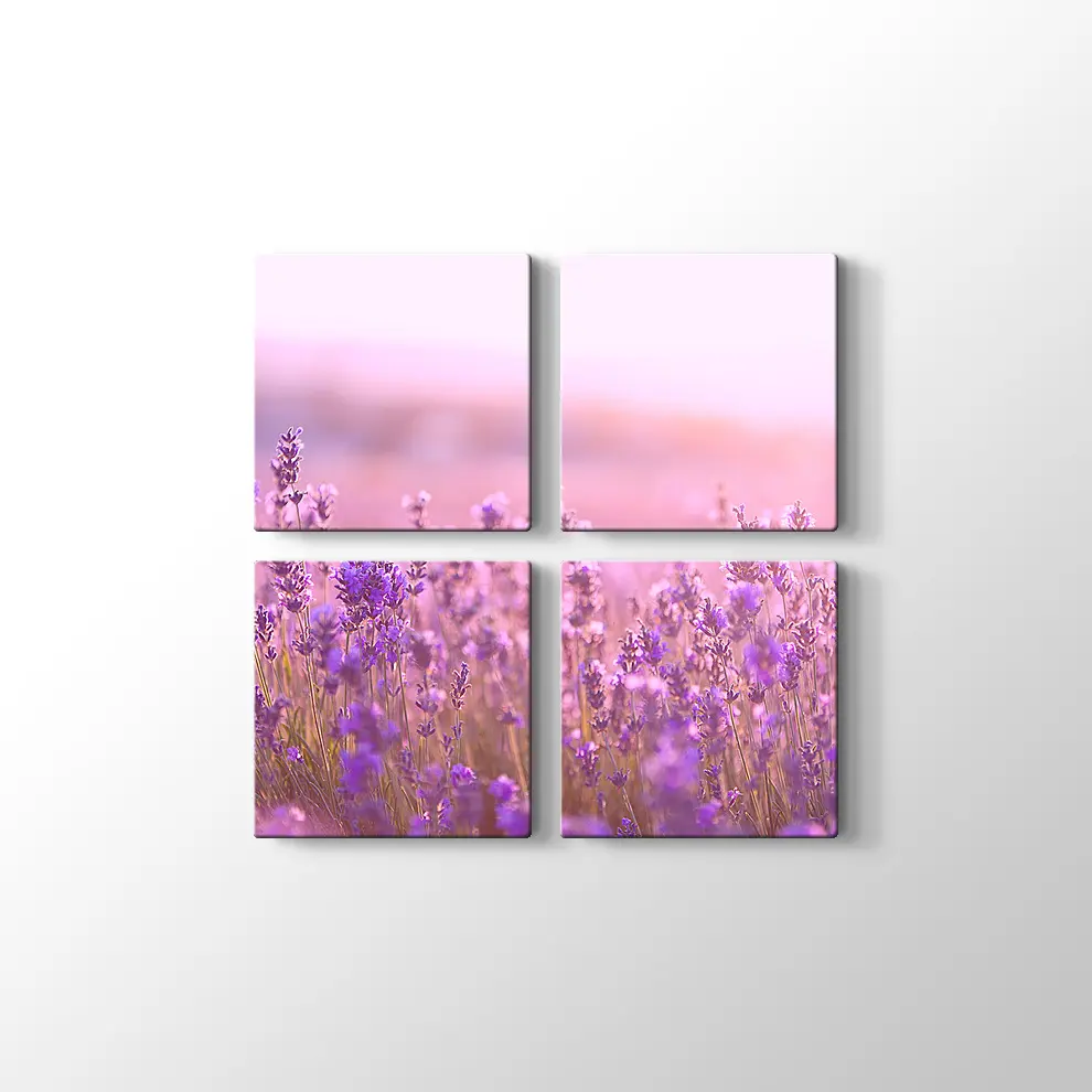 Lavantalar Kanvas Tablo