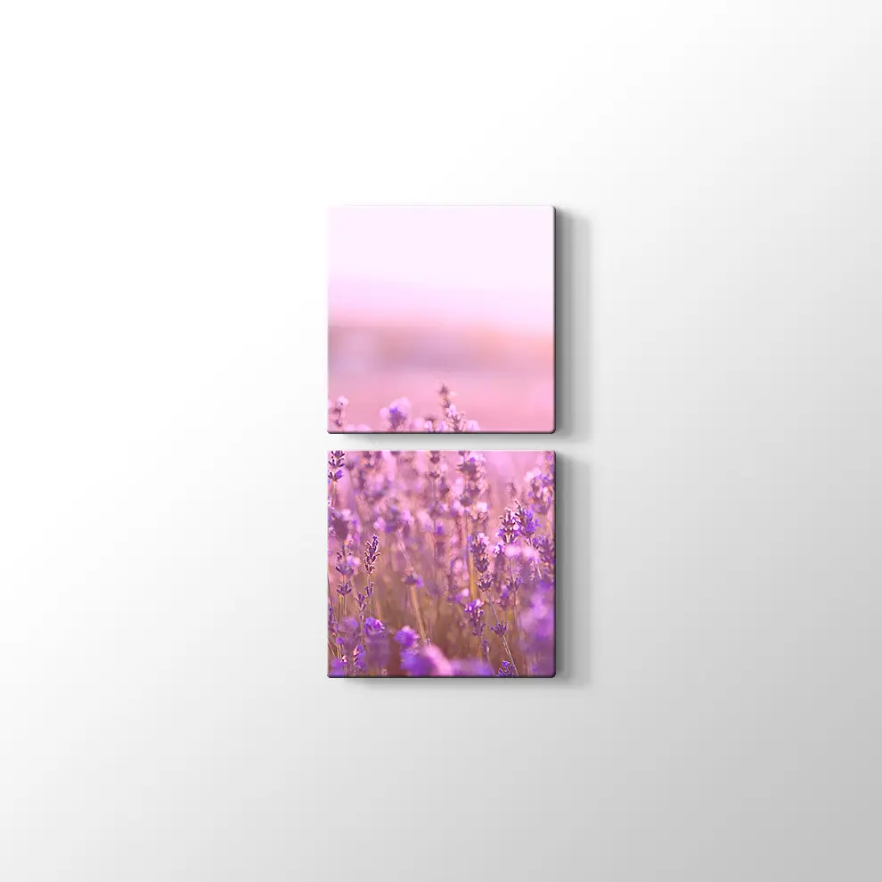 Lavantalar Kanvas Tablo