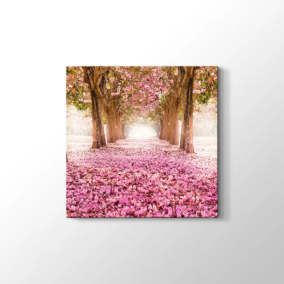 Kirazçiçeği Orman Yolu Kanvas Tablo