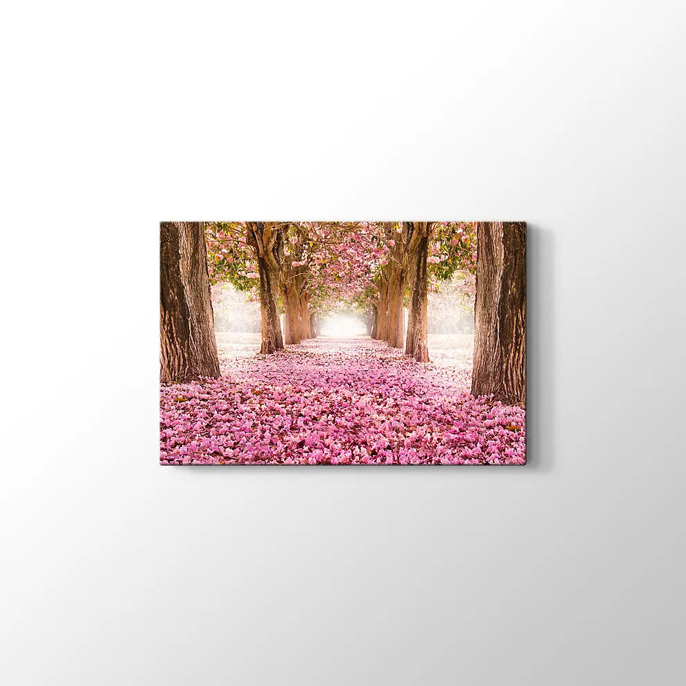 Kirazçiçeği Orman Yolu Kanvas Tablo