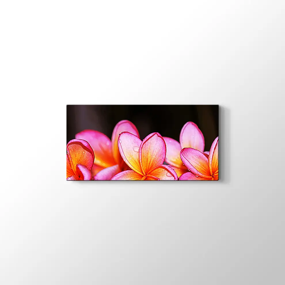 Islak Çiçekler Kanvas Tablo