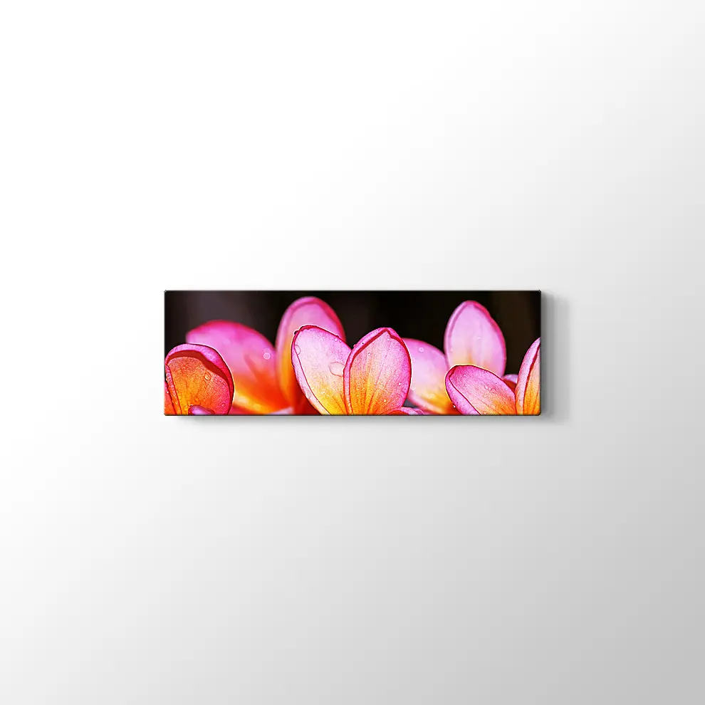 Islak Çiçekler Kanvas Tablo