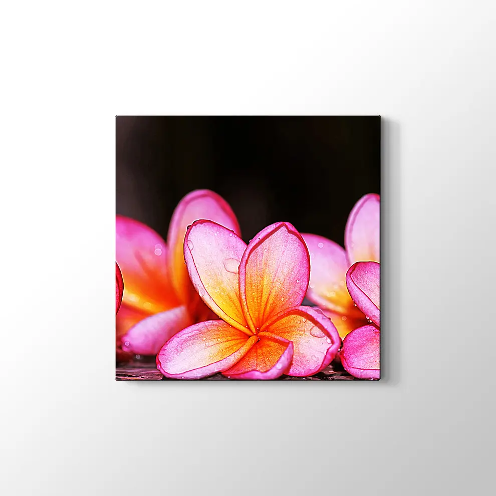 Islak Çiçekler Kanvas Tablo