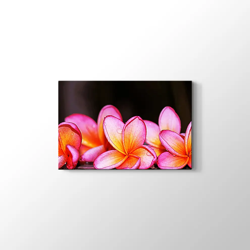 Islak Çiçekler Kanvas Tablo